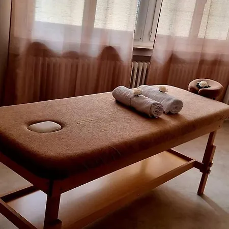 Appartement Metz Love Spa Privatif *